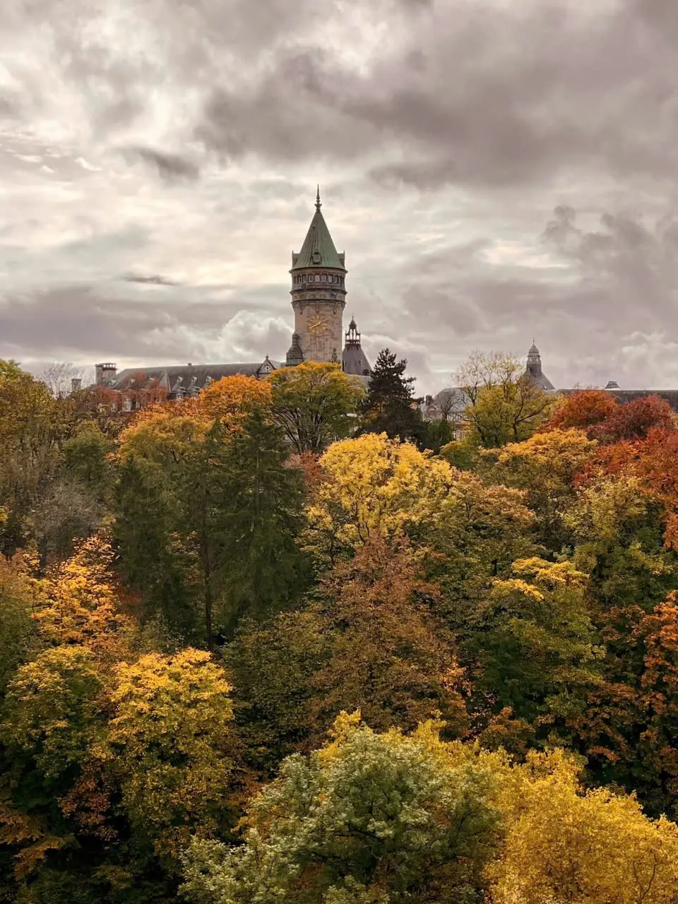 image-28.webp