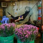 Instagram Saigon Tour - Ho Chi Minh City