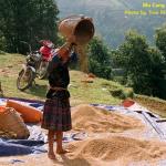 Vietnam is a country with immense potential and opportunity for travel and tourism