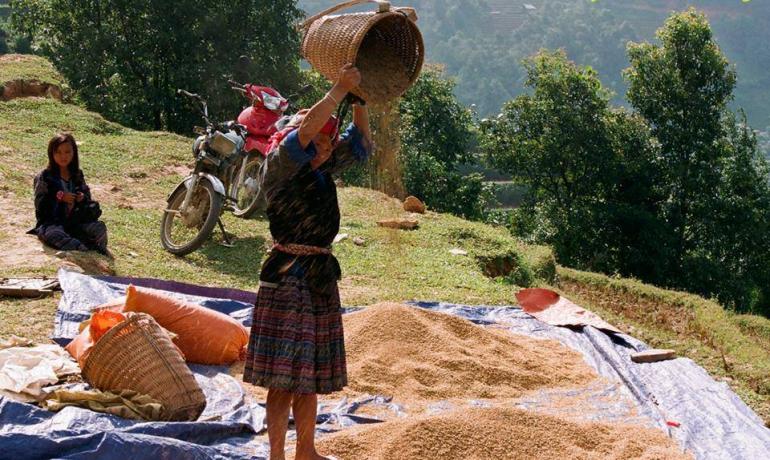 Vietnam is a country with immense potential and opportunity for travel and tourism