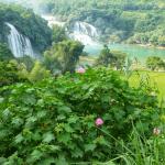 Ban Gioc Water Fall - Sapa