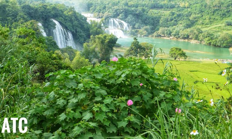 Ban Gioc Water Fall - Sapa