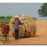 A day trip Hanoi Outskirts Tour