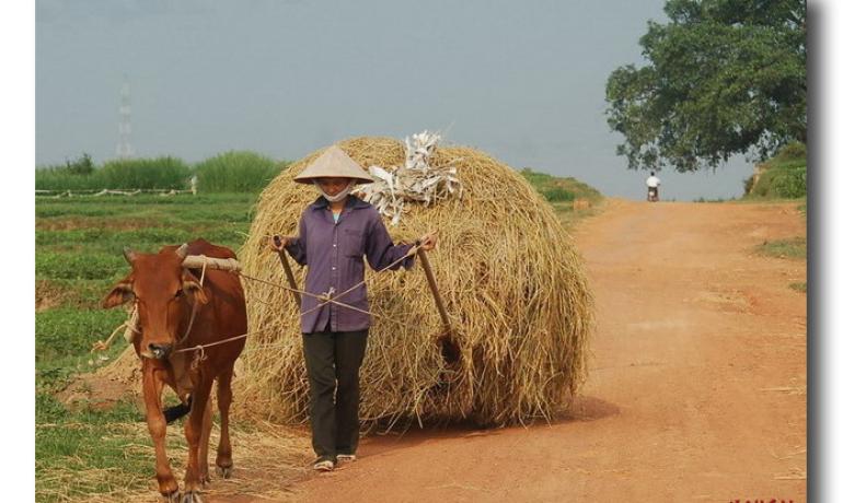 A day trip Hanoi Outskirts Tour