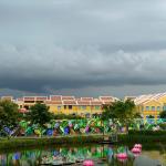 Danang Hoi An day tour
