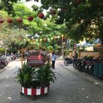 Danang Hoi An day tour