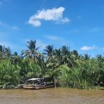 Ho Chi Minh Cu Chi My Tho Mekong rivers Vung Tau 5D4N Tour