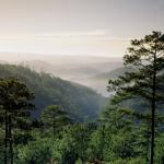 Nha Trang Dalat 4D3N