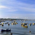 Sai Gon Mui Ne Dalat 4D3N