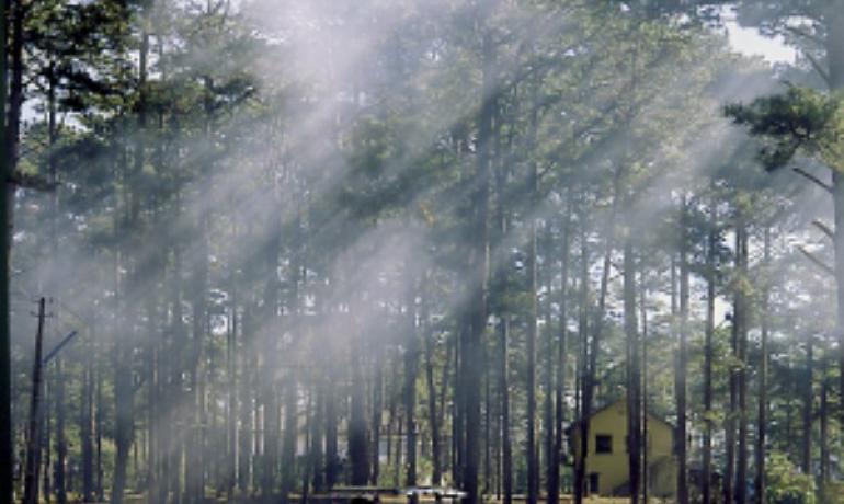Nha Trang Dalat 4D3N