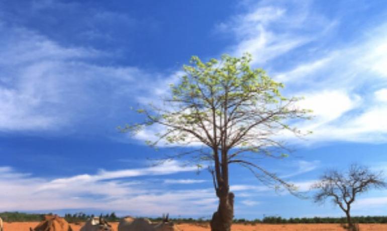 Sai Gon Mui Ne Dalat 4D3N